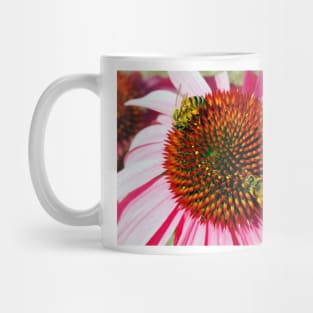 Honey Bees Macro on Echinacea Flower of Summer Mug